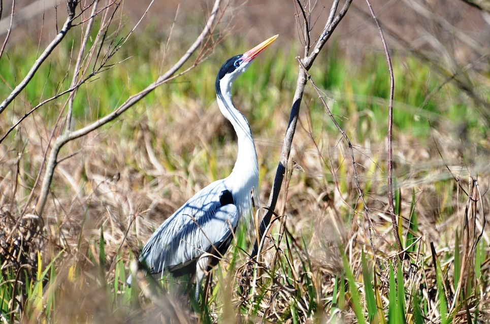 Foto Garza Mora