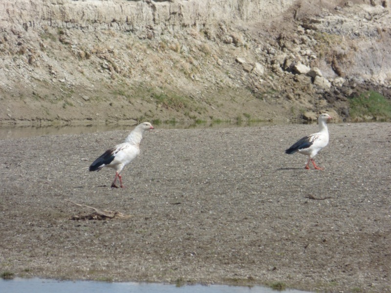 Photo Guayata