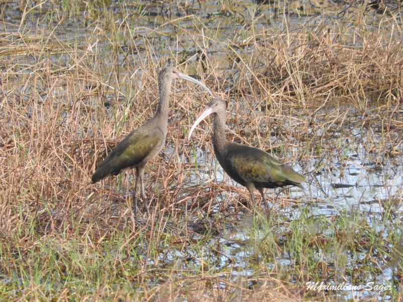 Photo Cuervillo de Cañada