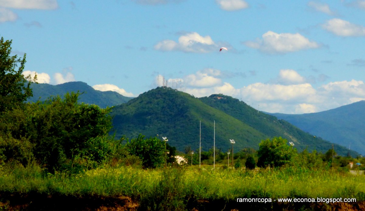 Photo Espátula Rosada