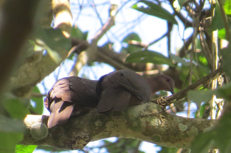 Foto Paloma Piquicorta