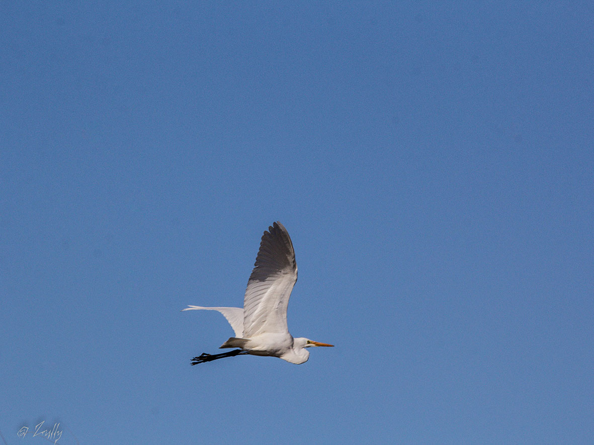 Photo Garza Blanca