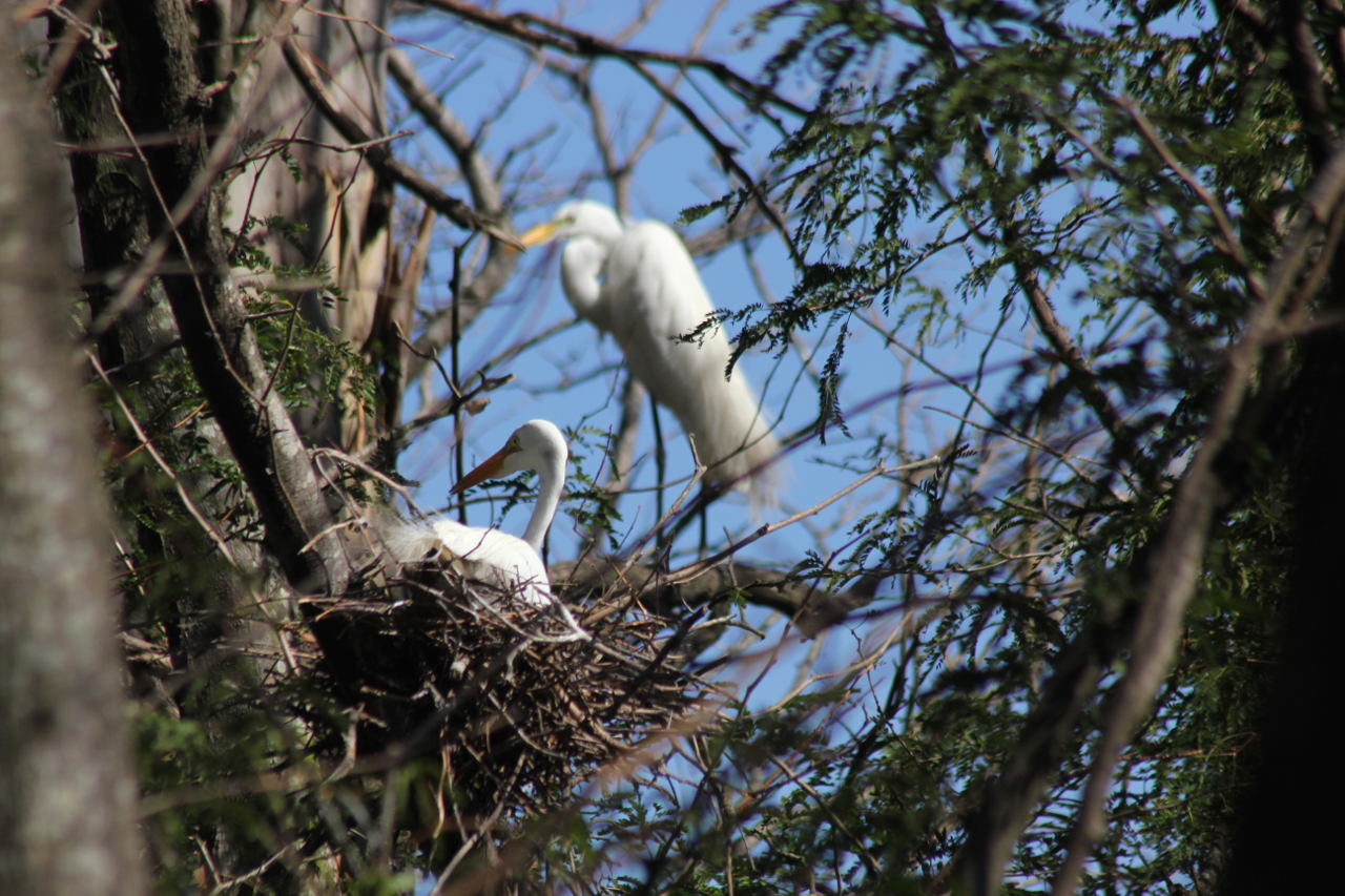 Foto Garza Blanca