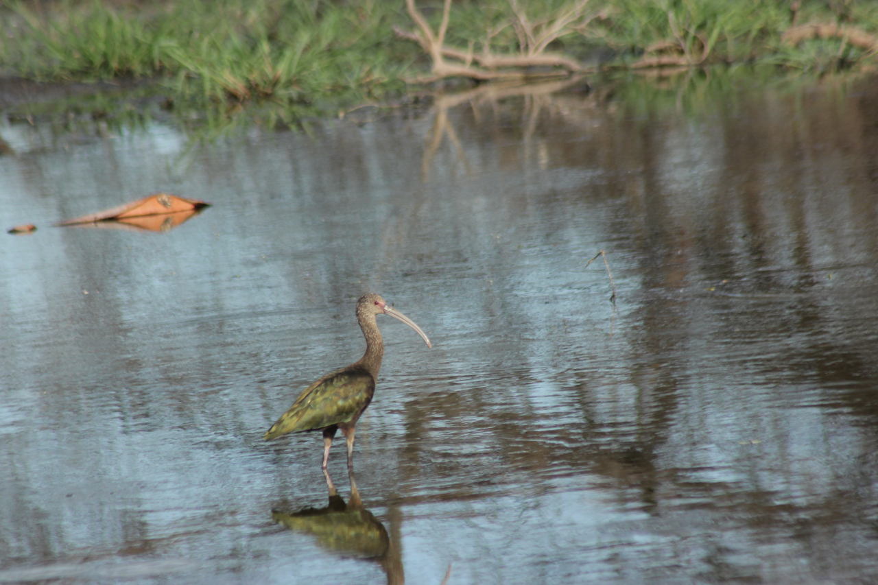 Foto Cuervillo de Cañada