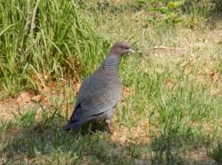 Foto Paloma Picazuró
