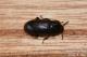  ()