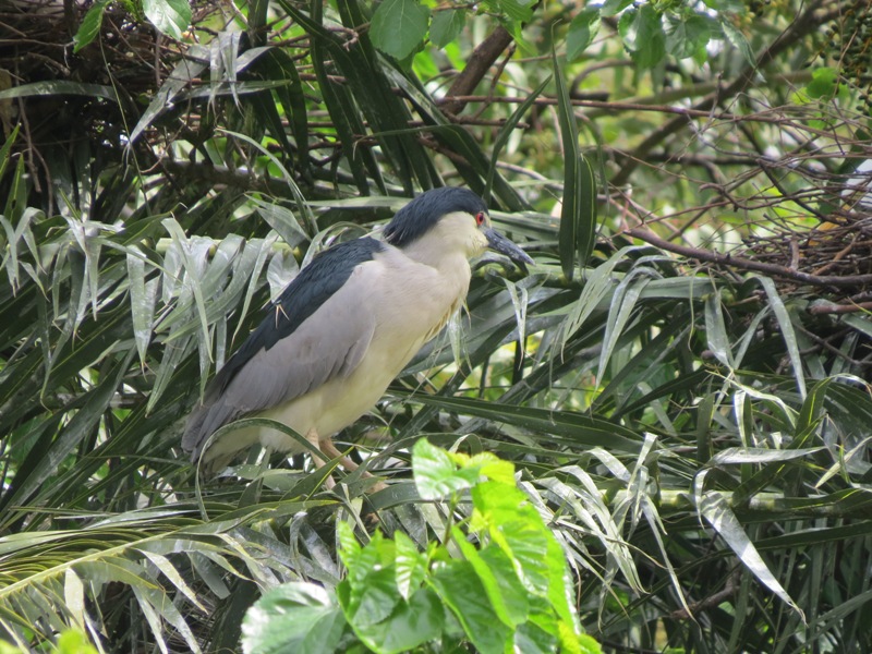 Photo Garza Bruja