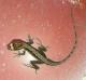 Anolis humilis