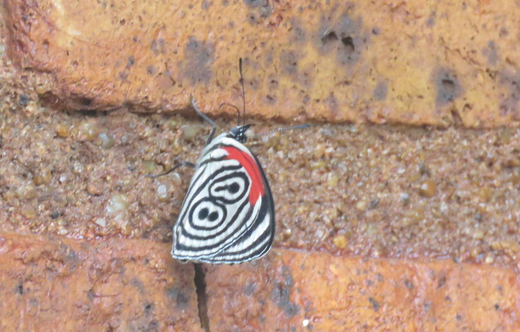 Photo Ochenta y Ocho