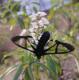  ()