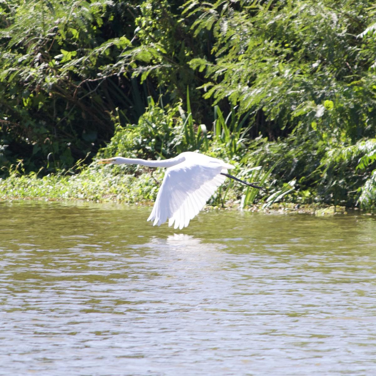 Foto Garza Blanca