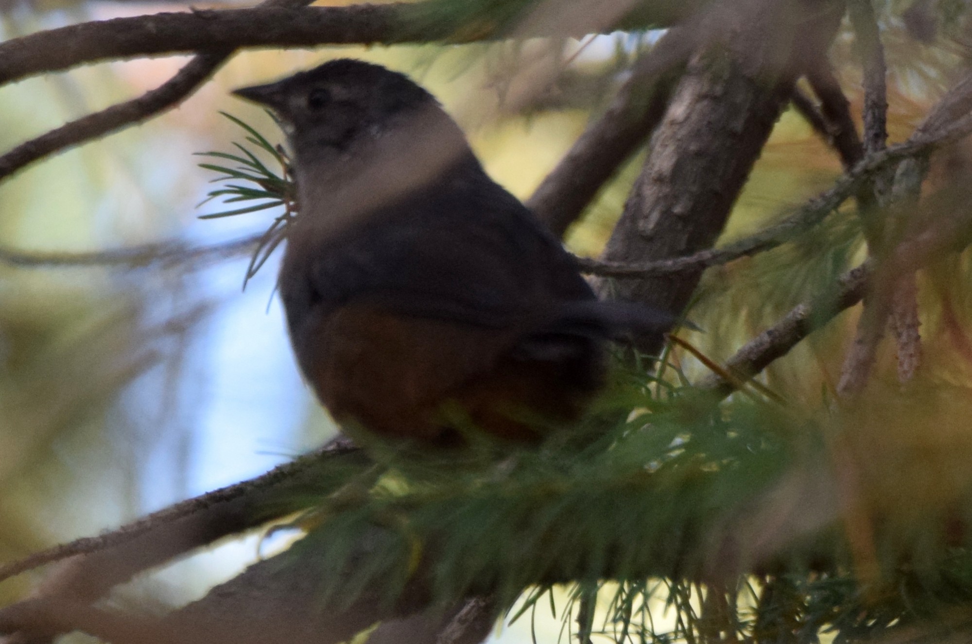 Foto Churrín Grande