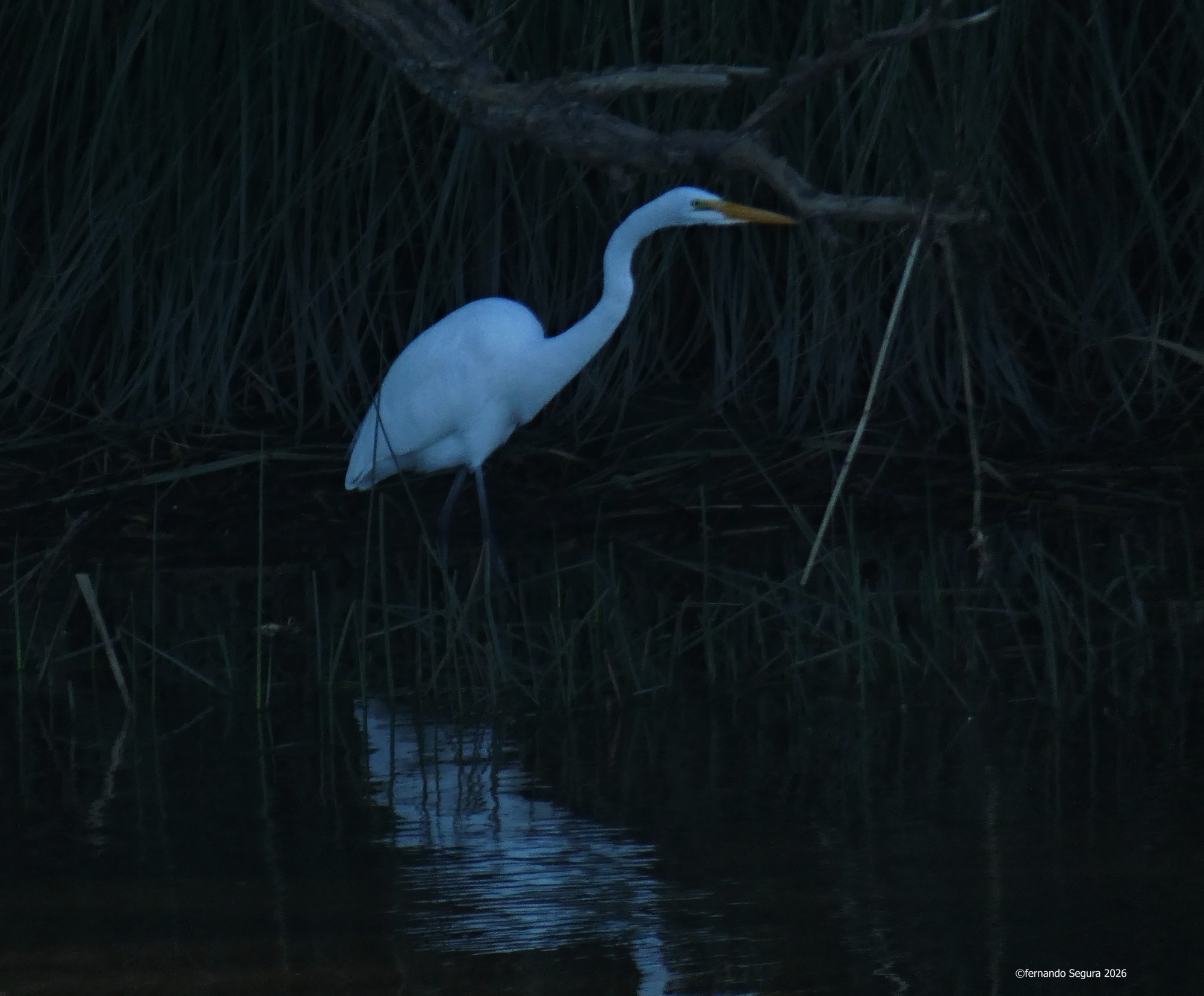 Photo Garza Blanca