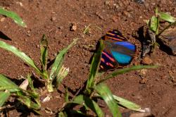 Foto Marcada Azul