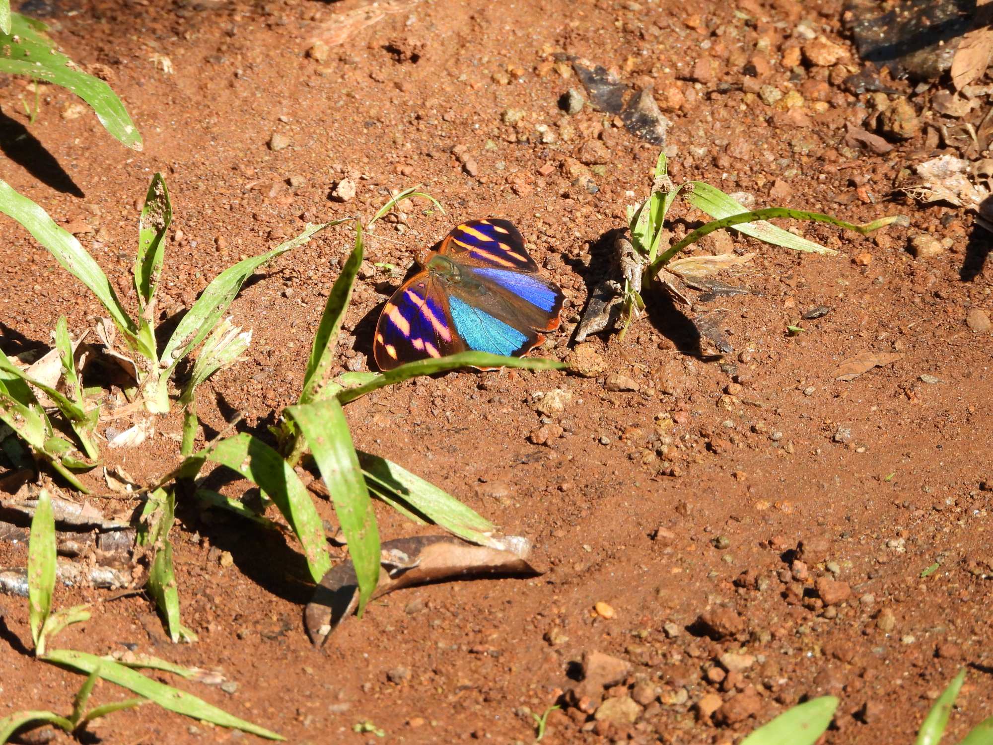 Foto Marcada Azul