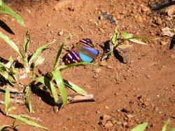 Foto Marcada Azul
