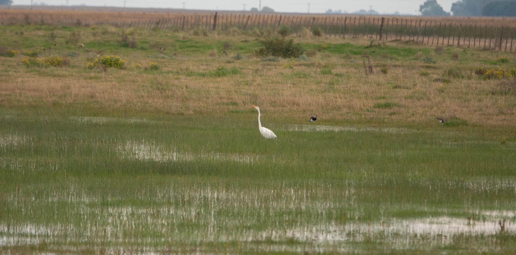 Photo Garza Blanca