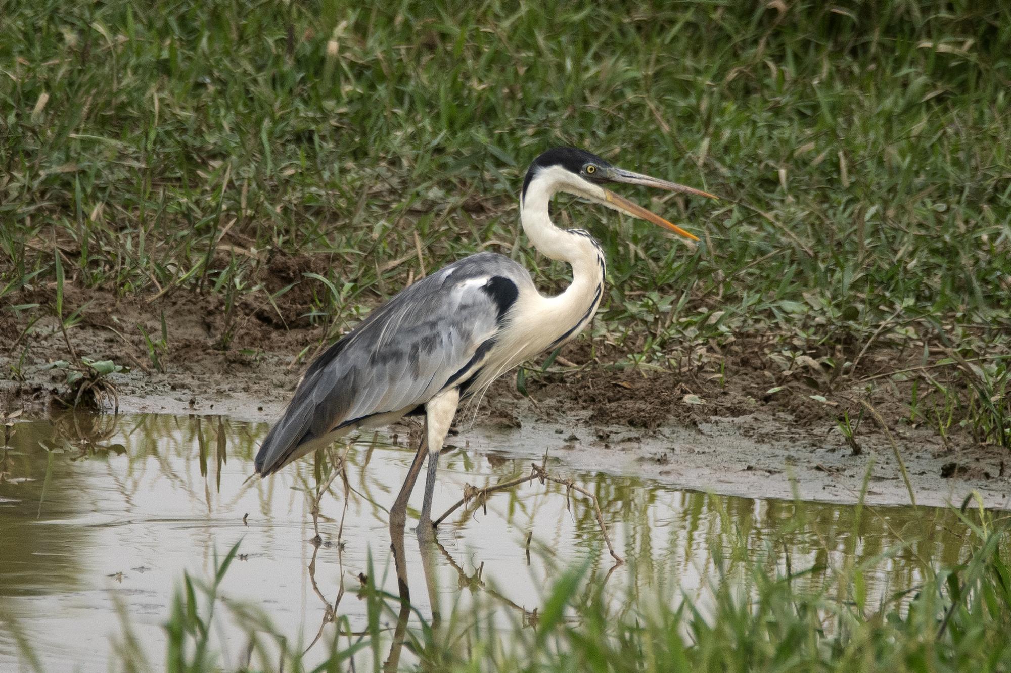 Photo Garza Mora