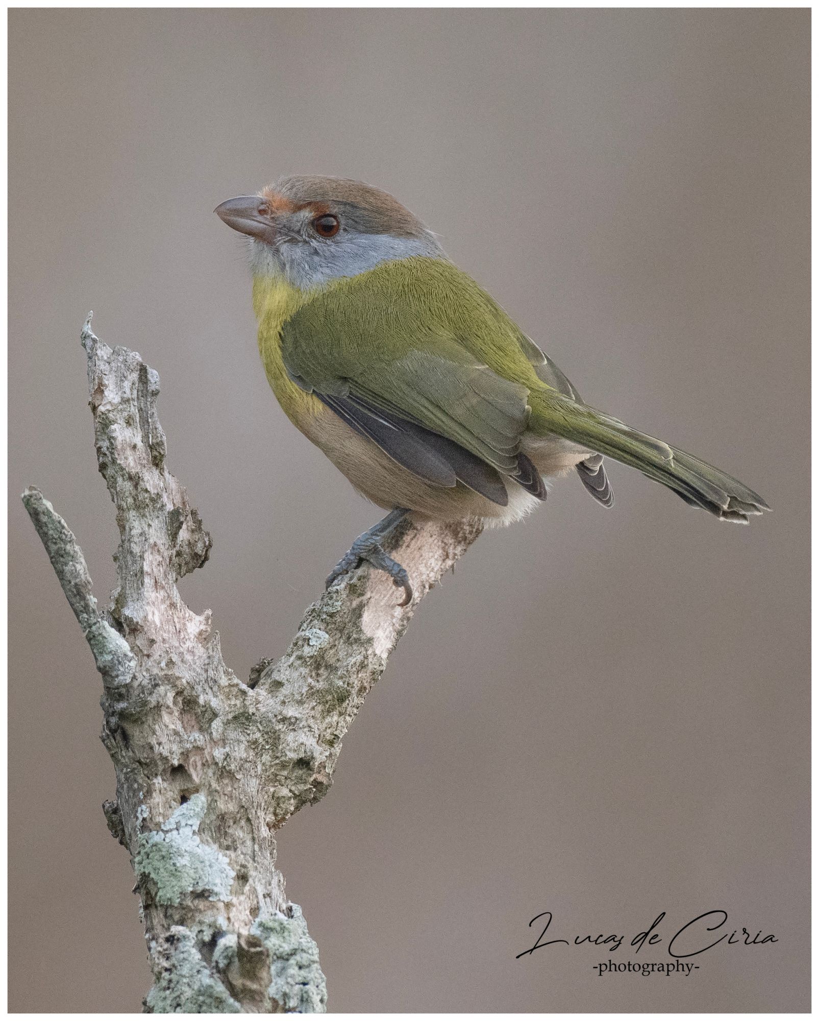 Photo Juan Chiviro