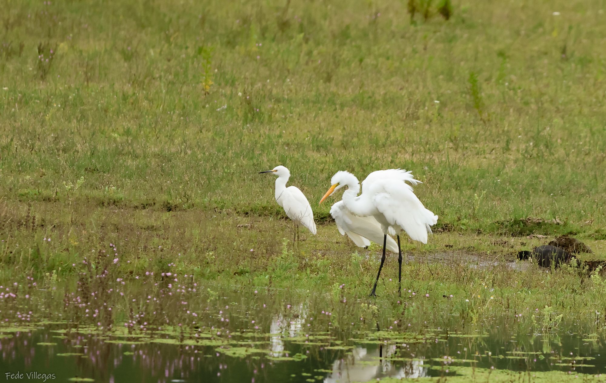 Photo Garza Blanca