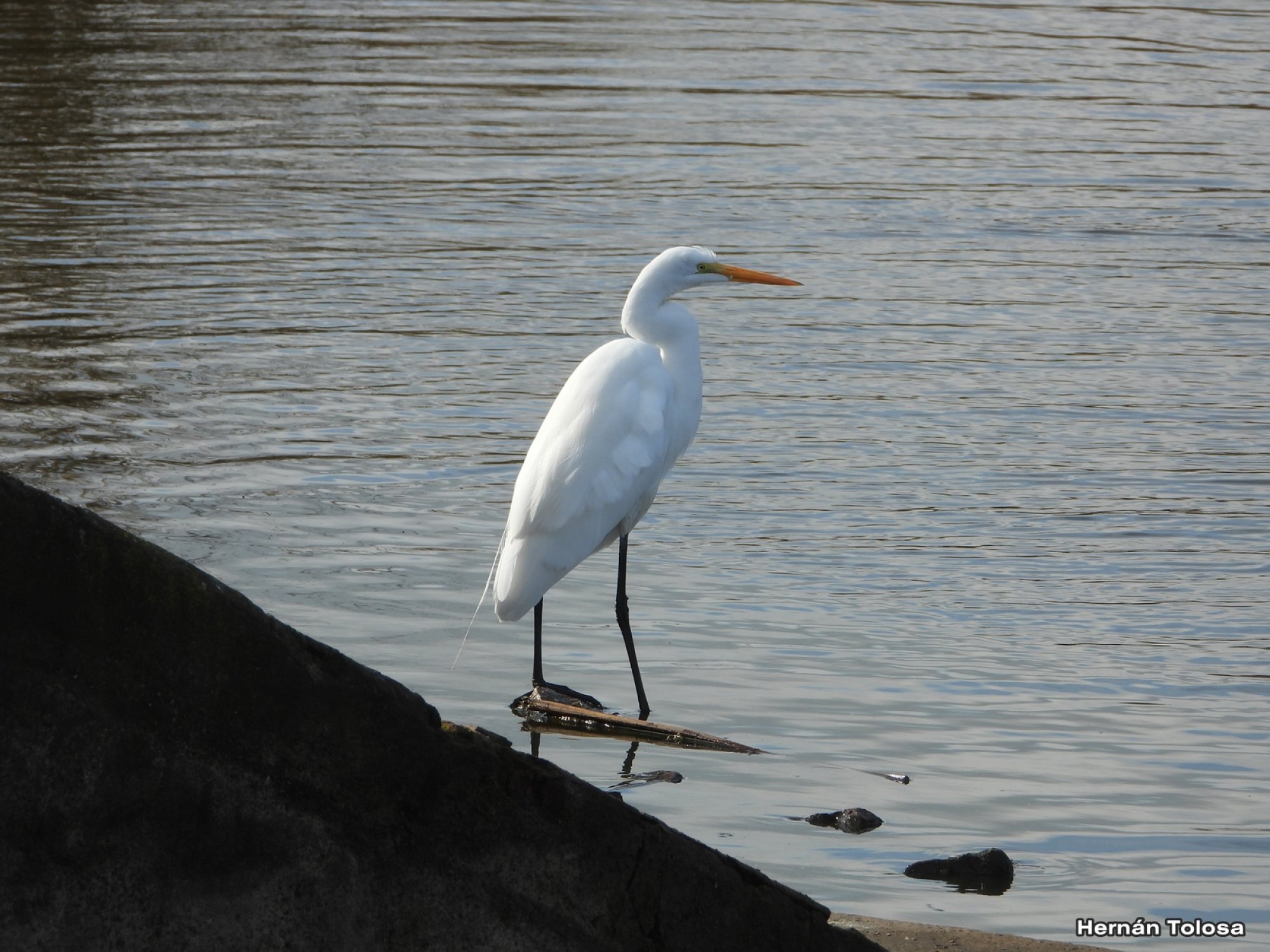 Foto Garza Blanca