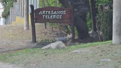 Foto Zorro Gris Pampeano