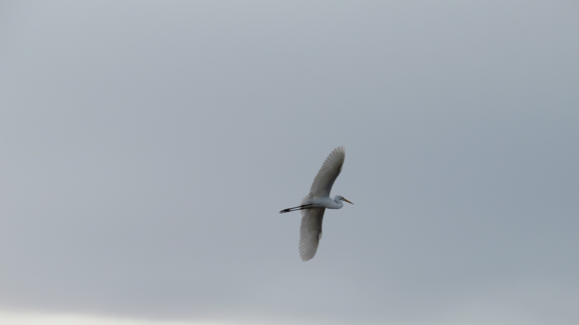 Foto Garza Blanca