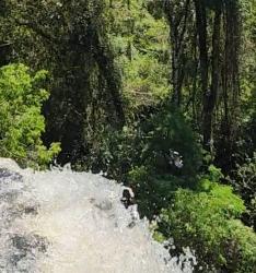 Foto Yacutinga