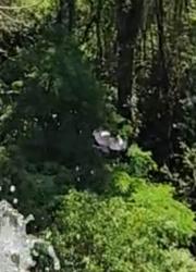 Foto Yacutinga