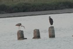 Foto Garza Real