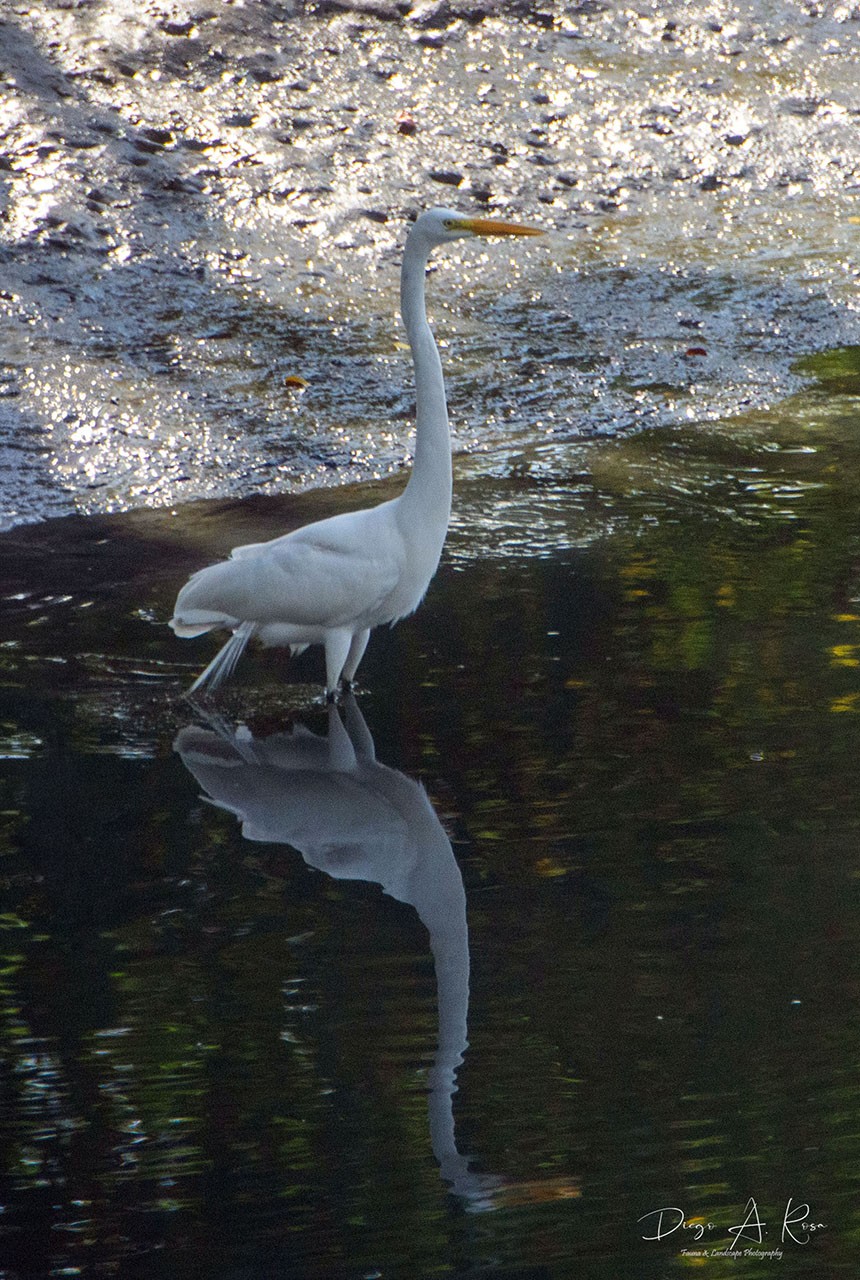 Foto Garza Blanca