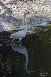 Foto Garza Blanca