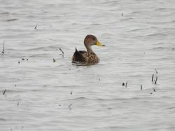 Photo Pato Maicero