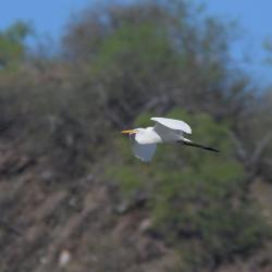Foto Garza Blanca