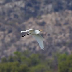 Photo Garza Blanca