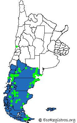 Mapa Birding Challenge