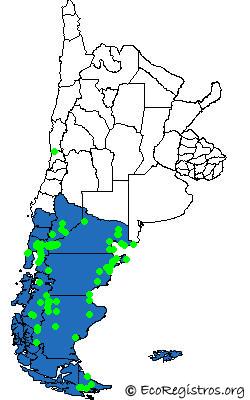 Mapa Birding Challenge