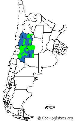 Mapa Birding Challenge