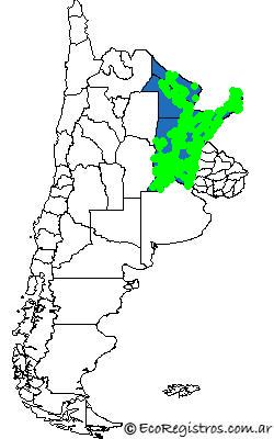 Mapa Birding Challenge