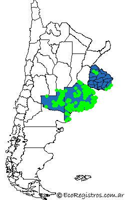 Mapa Birding Challenge