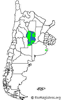 Mapa Birding Challenge